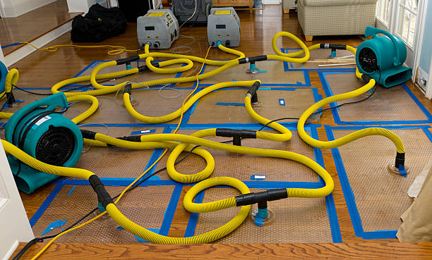 Professional Crawl Space Water Removal technician working in Vanleer, TN